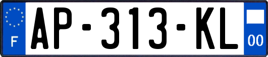AP-313-KL