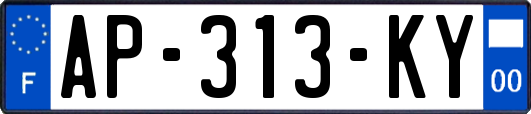 AP-313-KY