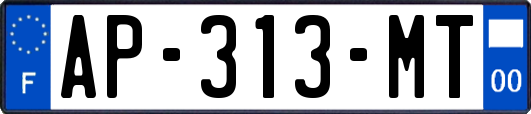 AP-313-MT