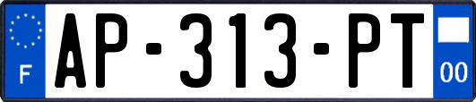 AP-313-PT