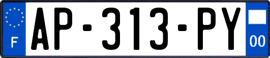 AP-313-PY