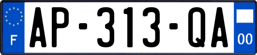 AP-313-QA