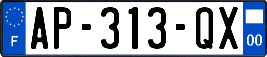 AP-313-QX
