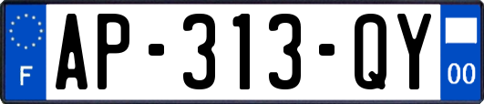AP-313-QY