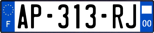 AP-313-RJ