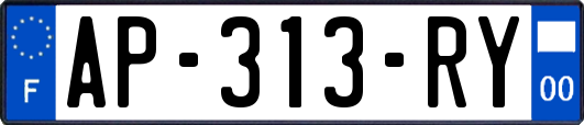 AP-313-RY