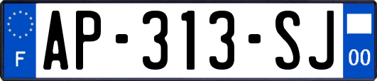 AP-313-SJ