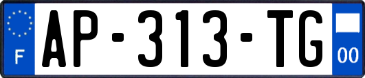 AP-313-TG