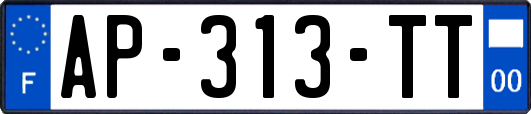 AP-313-TT