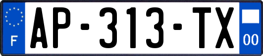 AP-313-TX