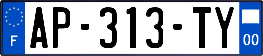 AP-313-TY