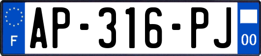 AP-316-PJ