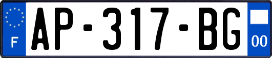 AP-317-BG