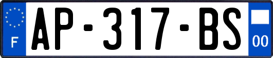 AP-317-BS