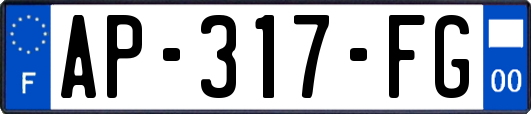 AP-317-FG