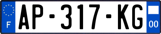 AP-317-KG