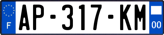 AP-317-KM