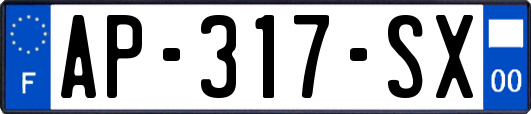 AP-317-SX
