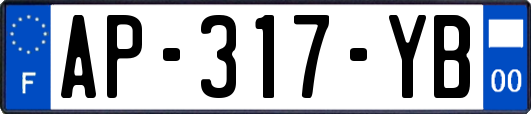 AP-317-YB