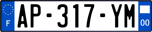 AP-317-YM