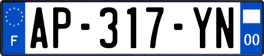 AP-317-YN