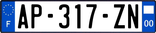 AP-317-ZN