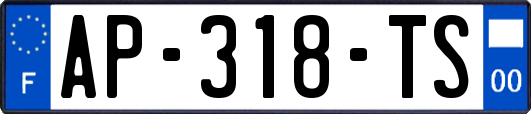 AP-318-TS