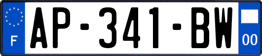 AP-341-BW