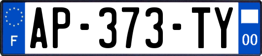AP-373-TY