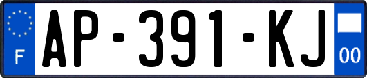 AP-391-KJ