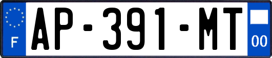 AP-391-MT