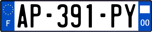 AP-391-PY