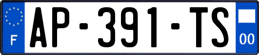AP-391-TS