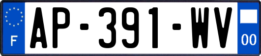 AP-391-WV