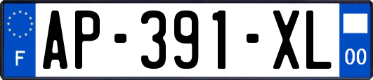 AP-391-XL