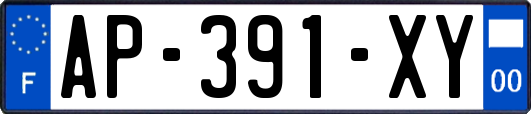 AP-391-XY