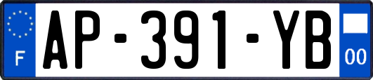 AP-391-YB