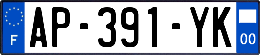 AP-391-YK