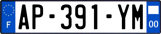 AP-391-YM