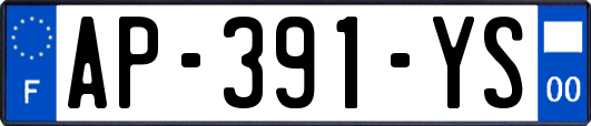 AP-391-YS