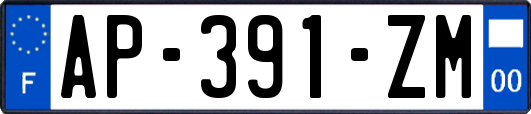 AP-391-ZM