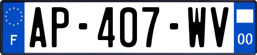 AP-407-WV