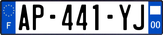AP-441-YJ