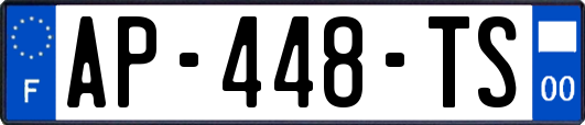 AP-448-TS