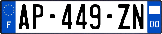 AP-449-ZN
