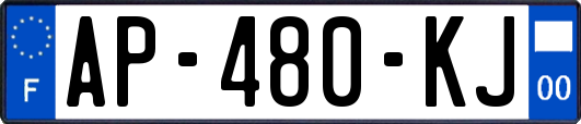 AP-480-KJ