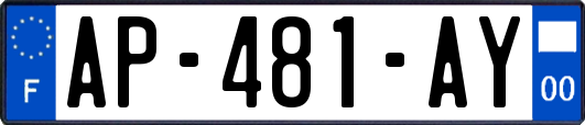 AP-481-AY