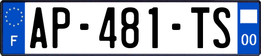 AP-481-TS
