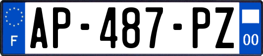 AP-487-PZ