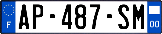 AP-487-SM